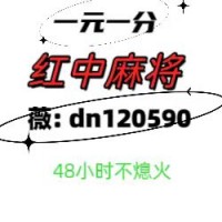 「红星新闻」一元一分红中麻将2024(已更新(今日/知乎)